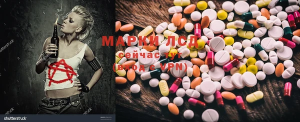 ПСИЛОЦИБИНОВЫЕ ГРИБЫ Алзамай