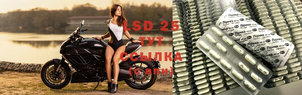 apvp Алексеевка