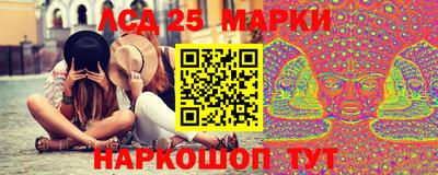 дмт Аргун