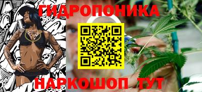 дмт Аргун