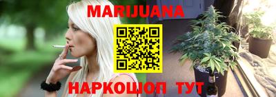 дмт Аргун