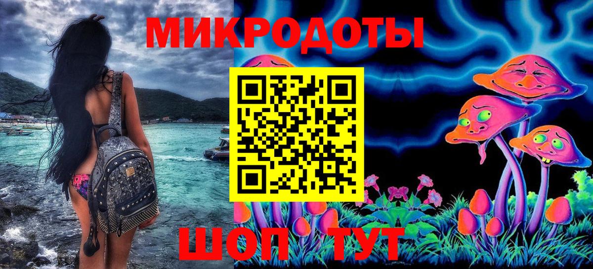 Псилоцибиновые грибы Psilocybe  Вход с VPN  Псилоцибиновые грибы ЛСД  Волгодонск 
